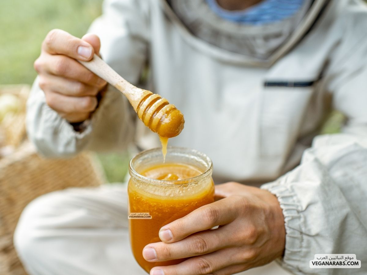 فوائد عسل السدر الجبلي