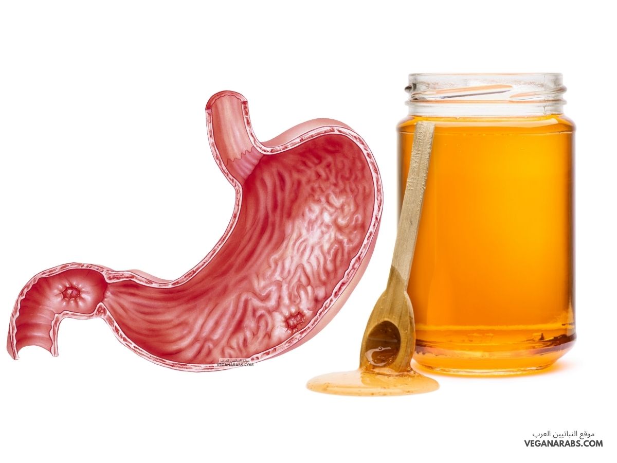 فوائد العسل للمعدة