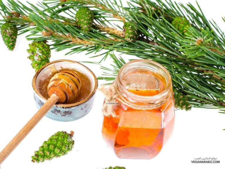 فوائد عسل الصنوبر
