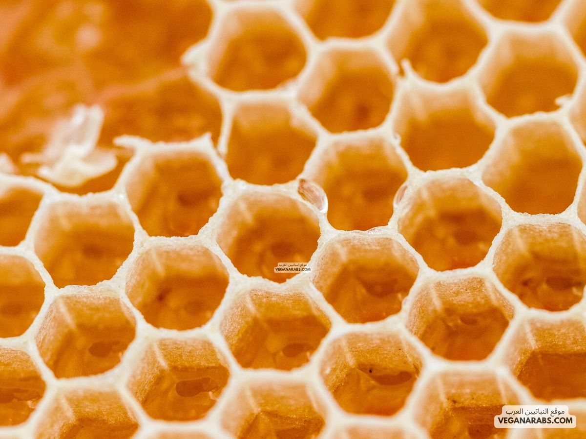 فوائد العسل الحر