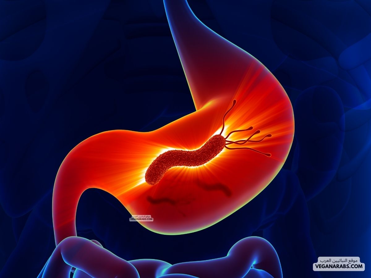 علاج جرثومة المعدة بالعسل