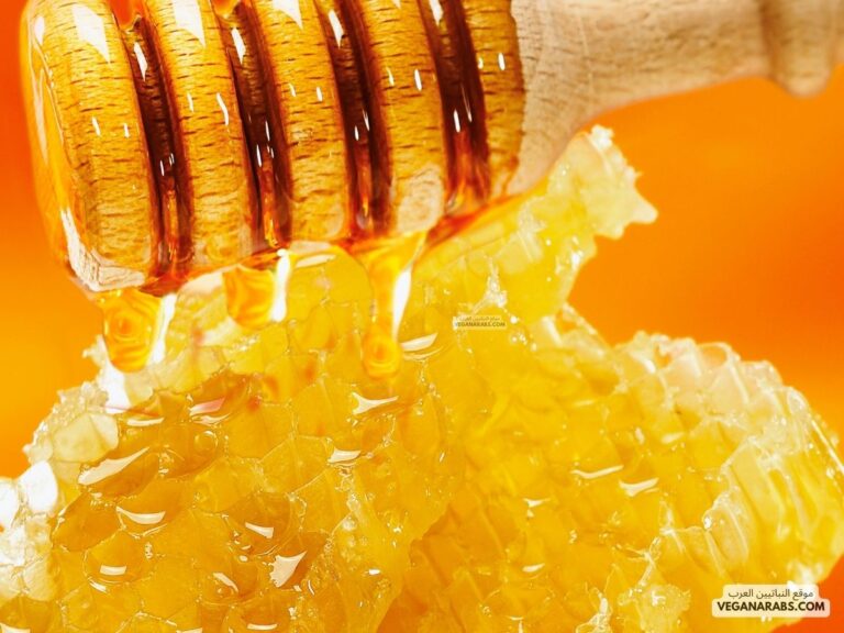أفضل أنواع العسل للعلاج