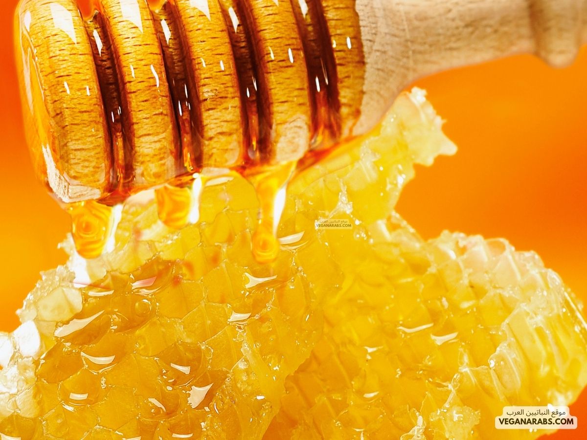 أفضل أنواع العسل للعلاج