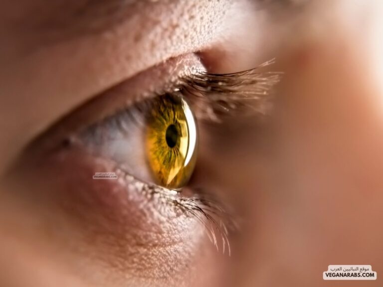 فوائد العسل للعين