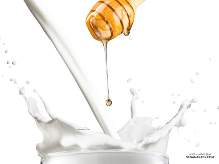 فوائد العسل مع الحليب