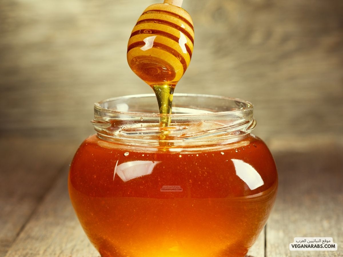 فوائد عسل السدر على الريق