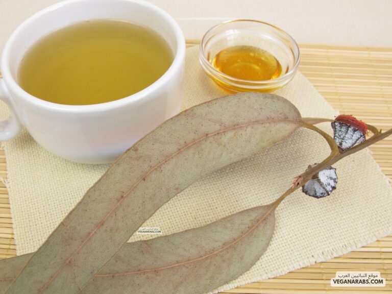 فوائد عسل الكالبتوس