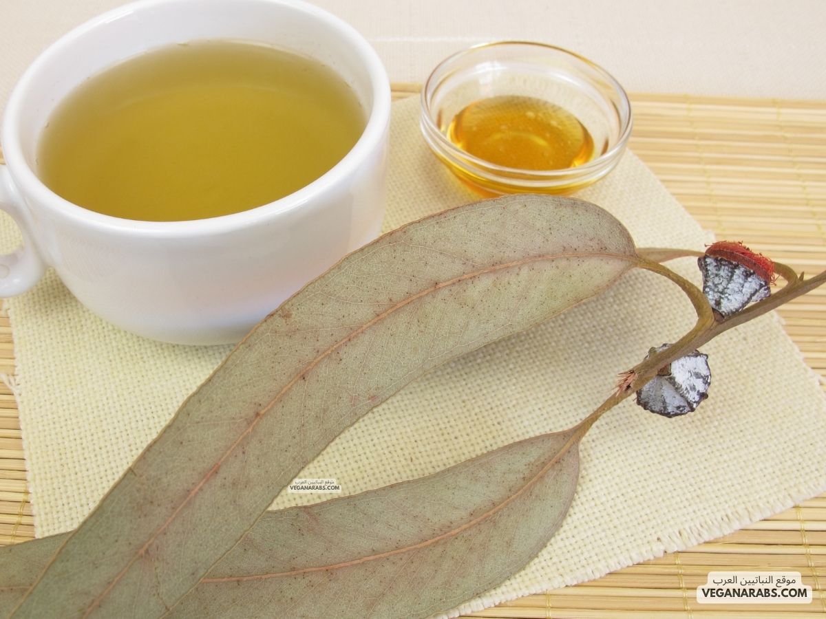 فوائد عسل الكالبتوس