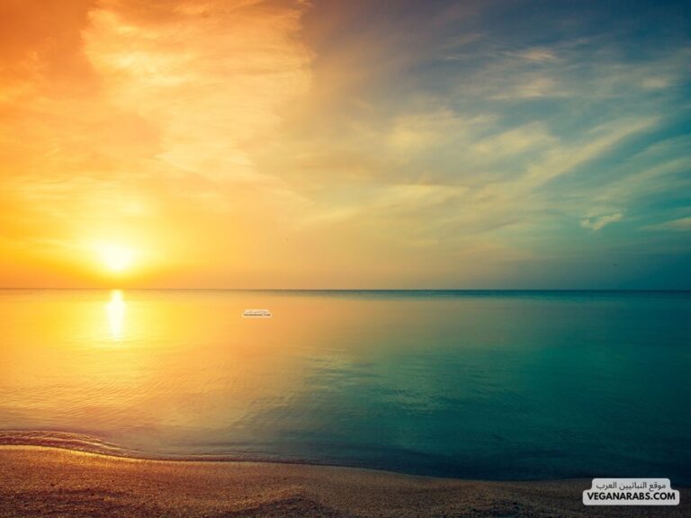 اذكار الصباح والمساء