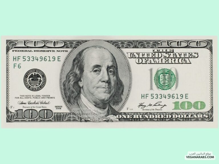 How to Start Investing with $100