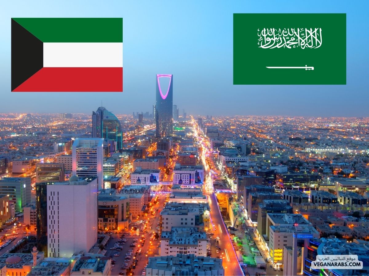 الكويت والسعودية يد واحدة محادثات أمنية وجولة في مترو الرياض الحديث!