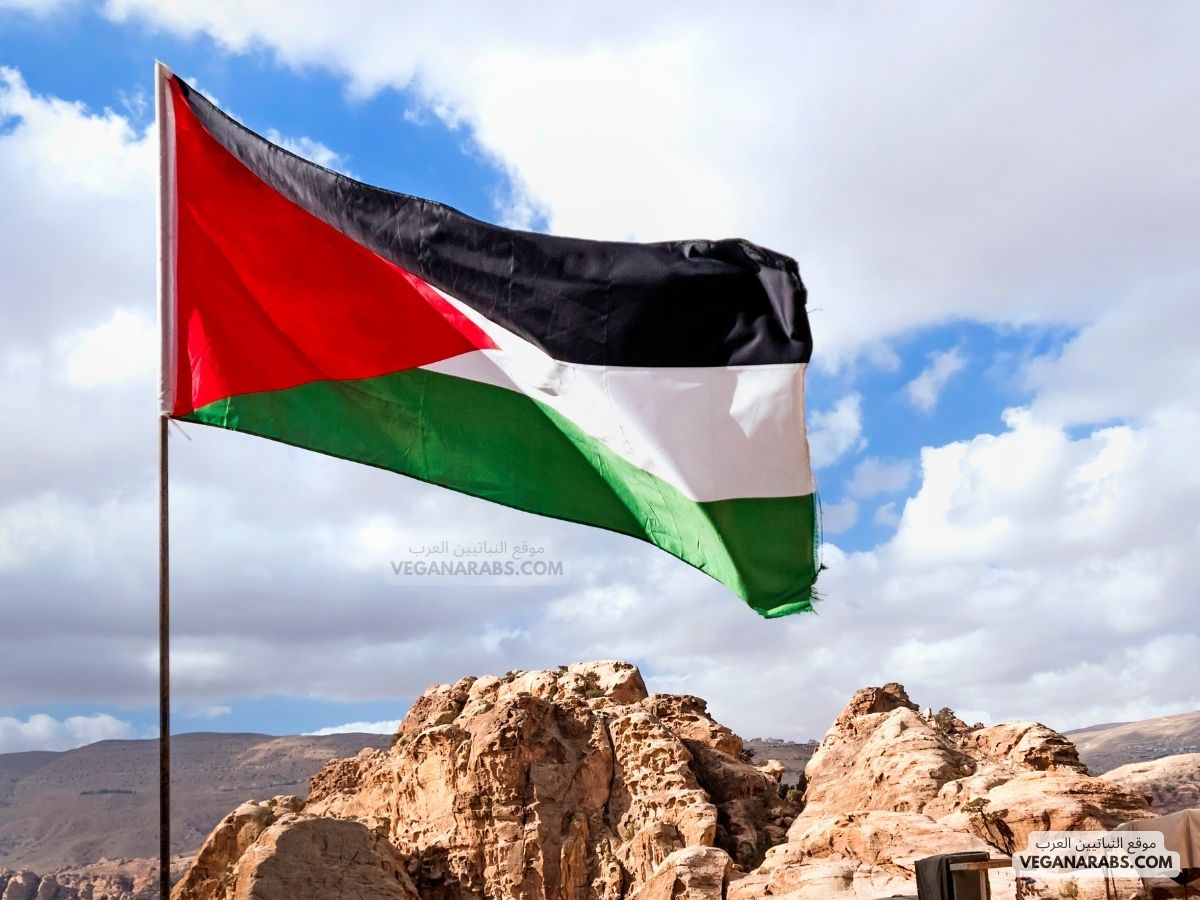 عملية مكافحة الإرهاب في الضفة الغربية: السلطة الفلسطينية تقتل قائدًا في "الجهاد الإسلامي"