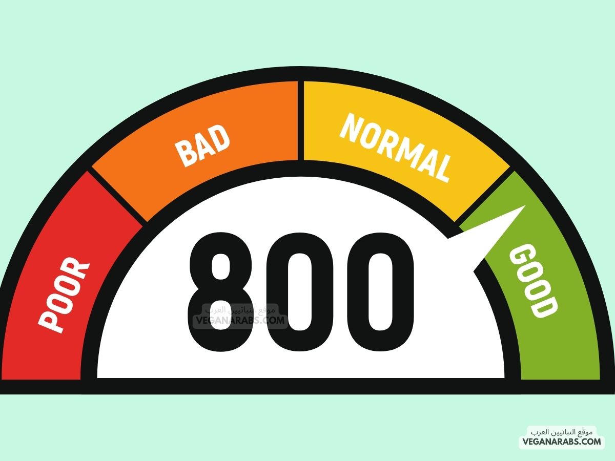 Credit Score Explained What It Is and How to Improve It