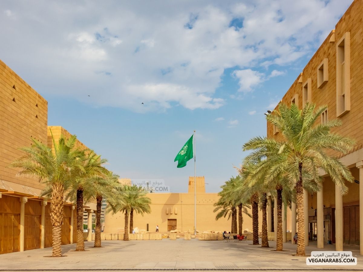 Top 10 Attractions to Visit in Riyadh This Year