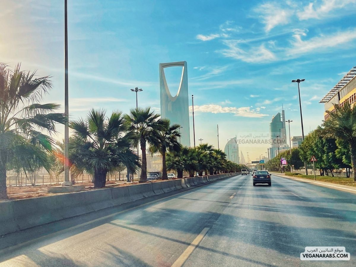 Real Estate Investment Opportunities in Riyadh