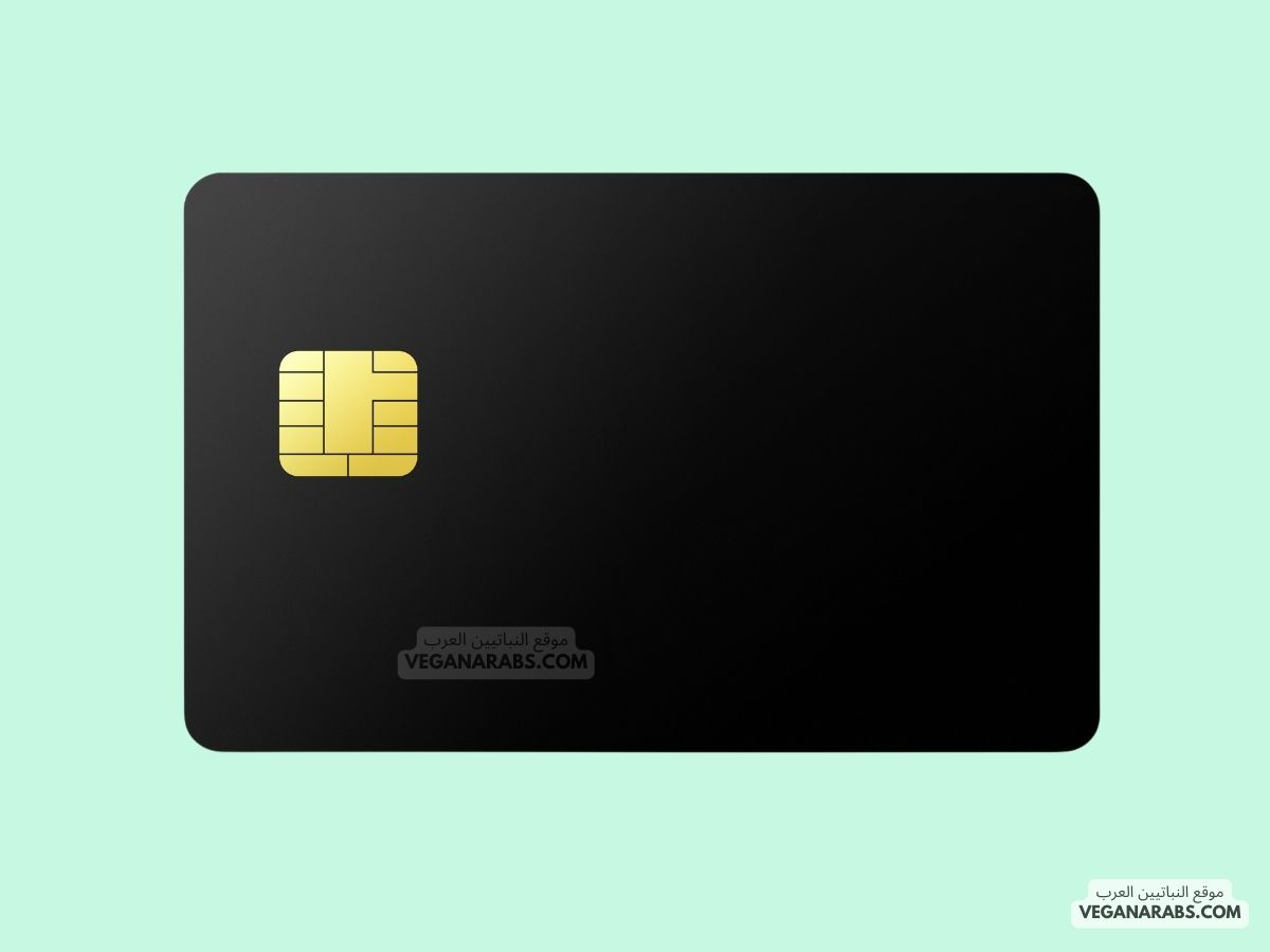 Best Credit Cards for Cash Back in 2025