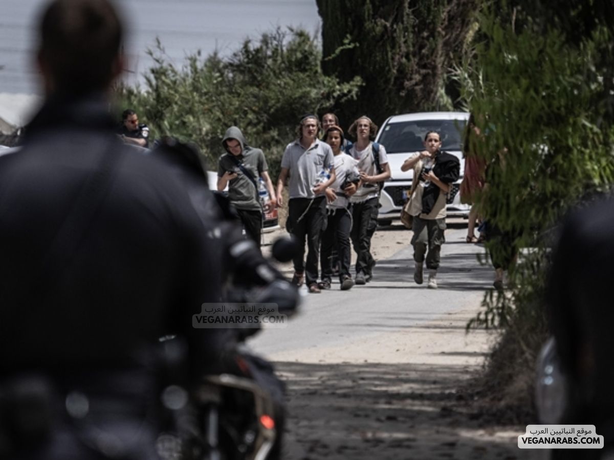 مجلس الأمن الدولي يدين المستوطنات الإسرائيلية غير القانونية في فلسطين