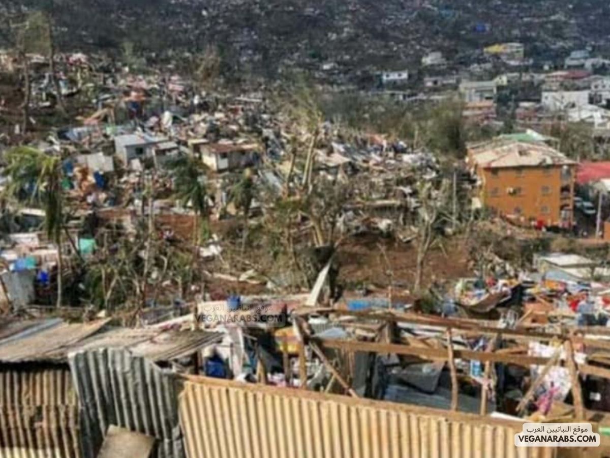 الإعصار "شيدو" يضرب جزيرة مايوت الفرنسية ويوقع مئات القتلى