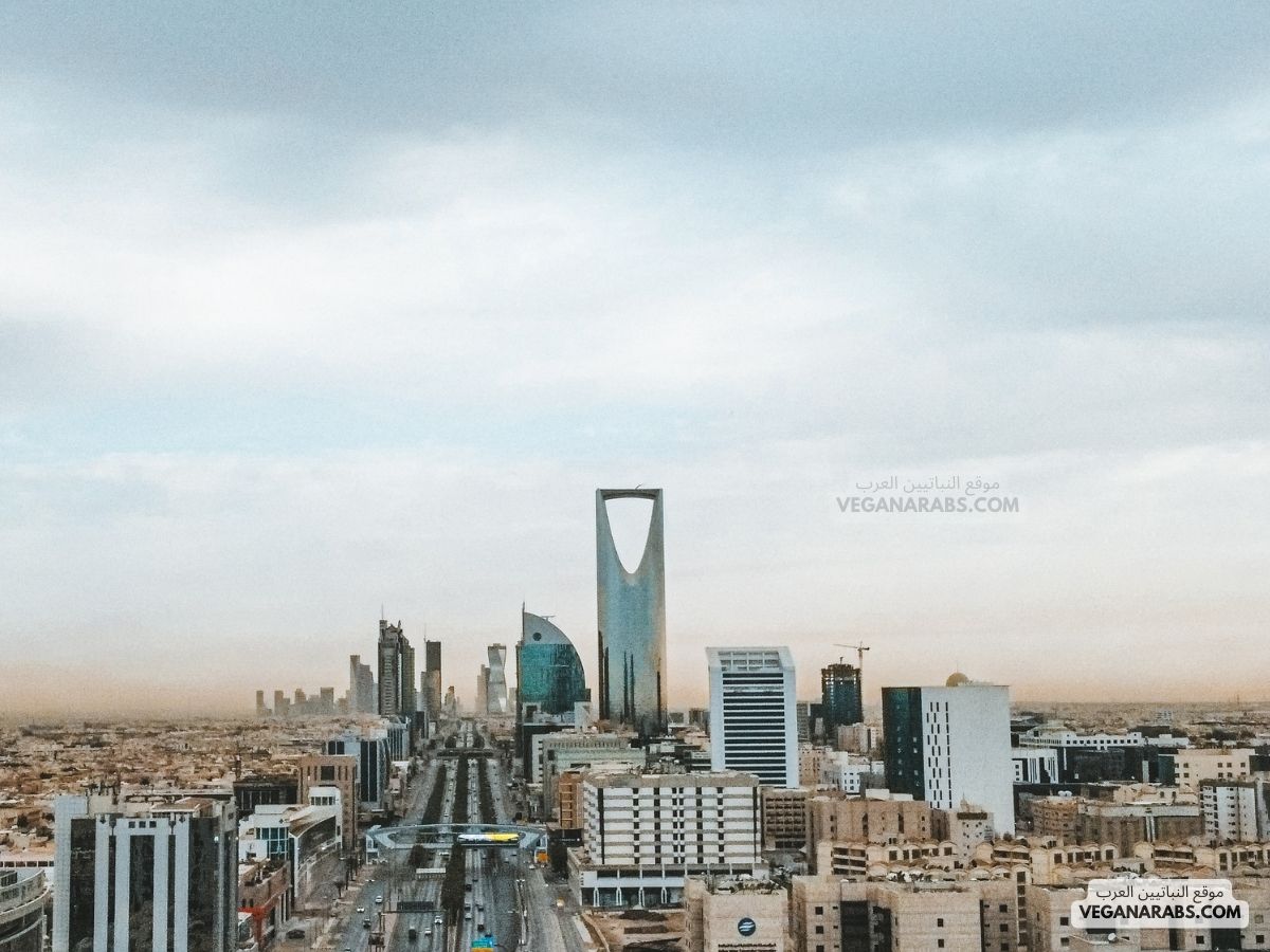 How Riyadh Is Becoming a Global Business Hub
