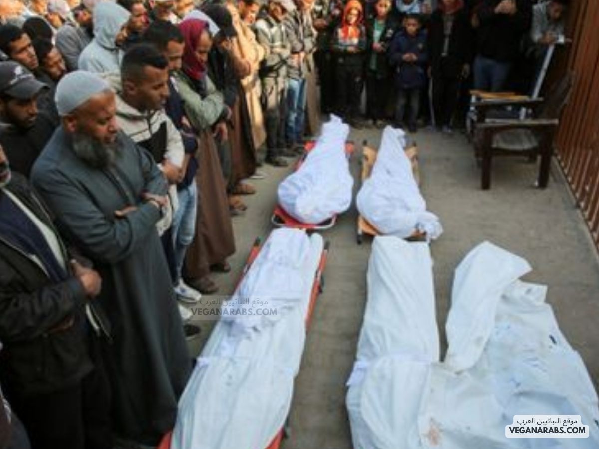 عدد القتلى في غزة يتجاوز 45,000 فلسطينيين: الحرب بين إسرائيل وحماس تتفاقم