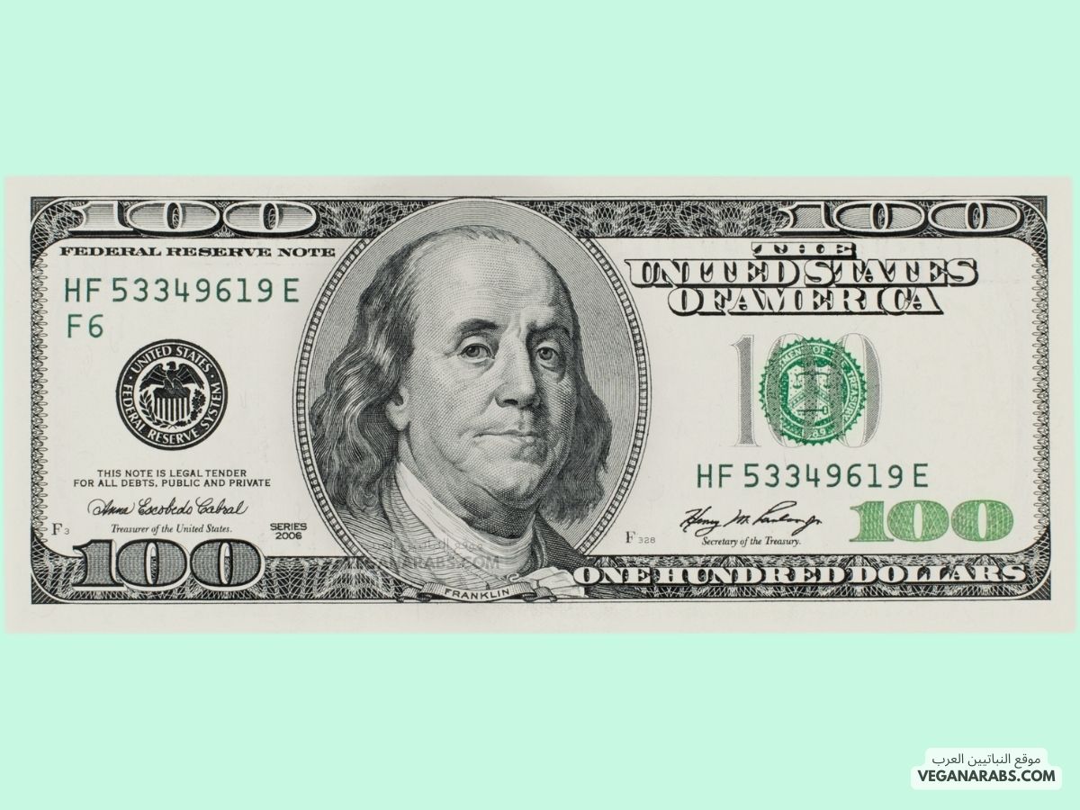 How to Start Investing with $100