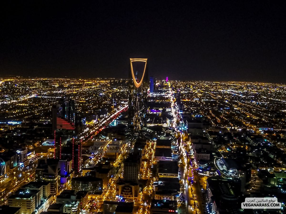 Best Neighborhoods to Live in Riyadh for Expats
