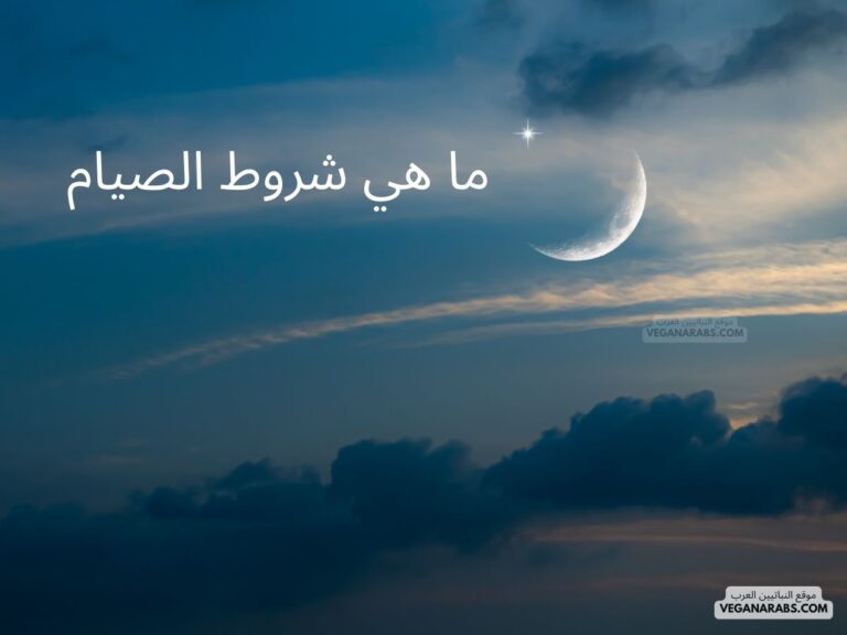 ما هي شروط الصيام