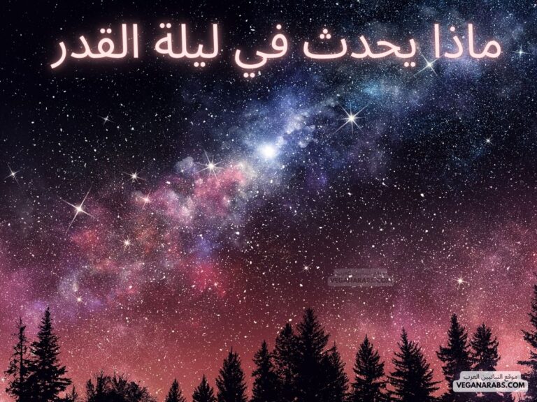 ماذا يحدث في ليلة القدر