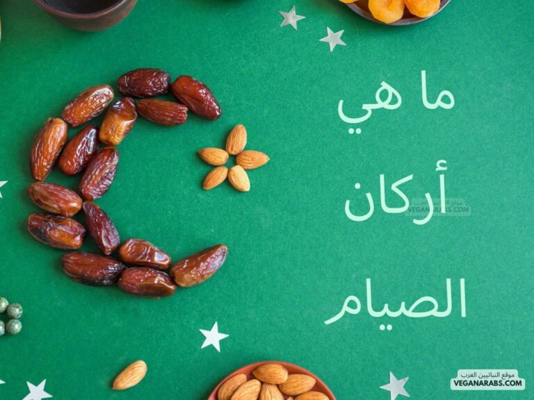 ما هي أركان الصيام