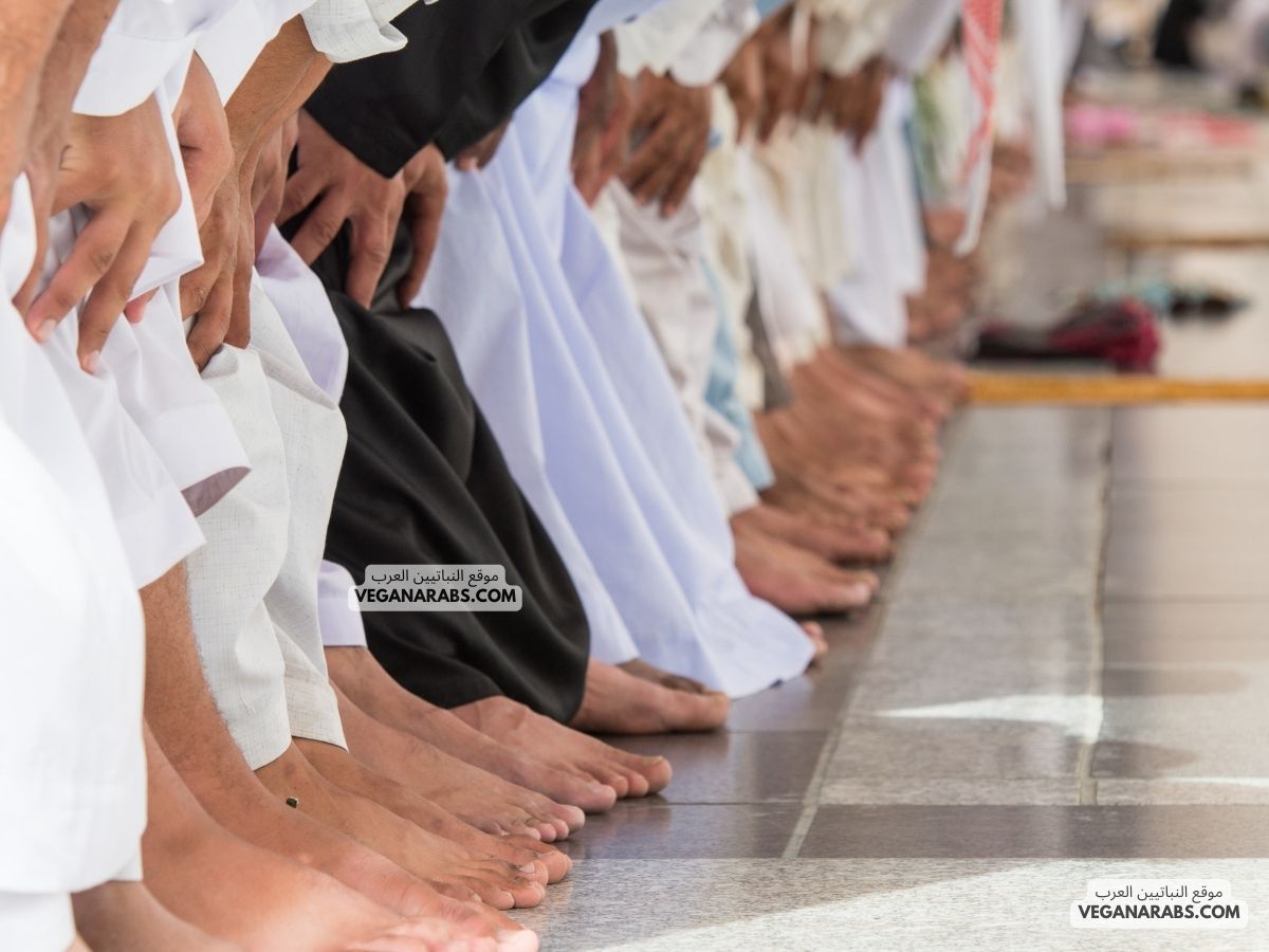 متى تبدأ صلاة القيام في رمضان