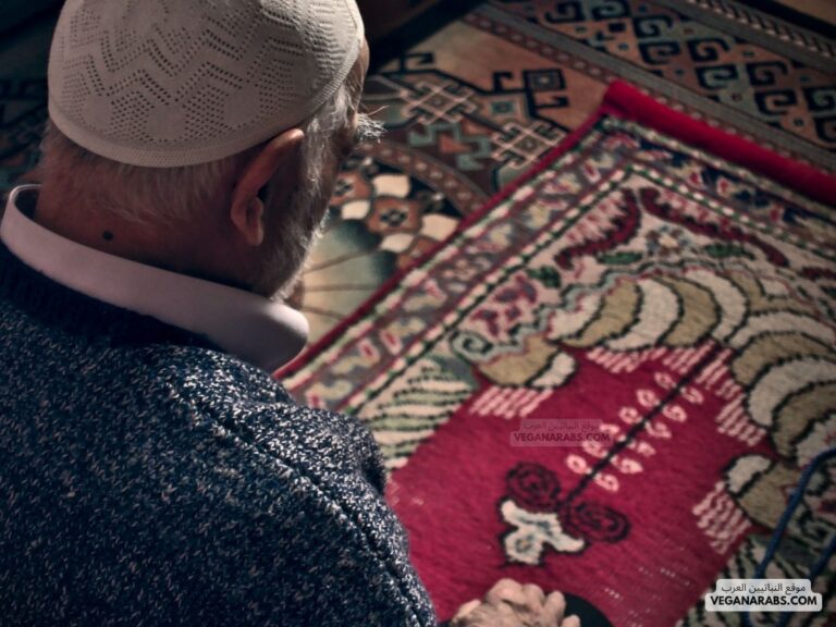 ما هي صلاة التراويح