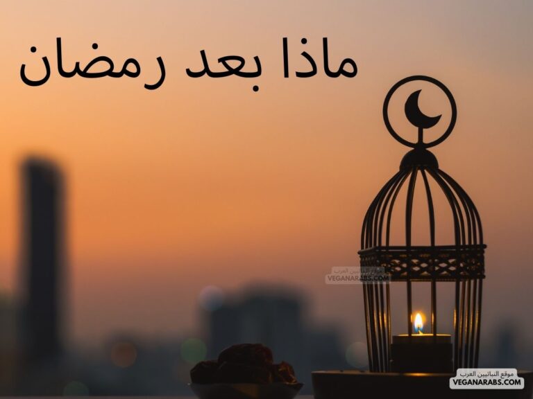 ماذا بعد رمضان