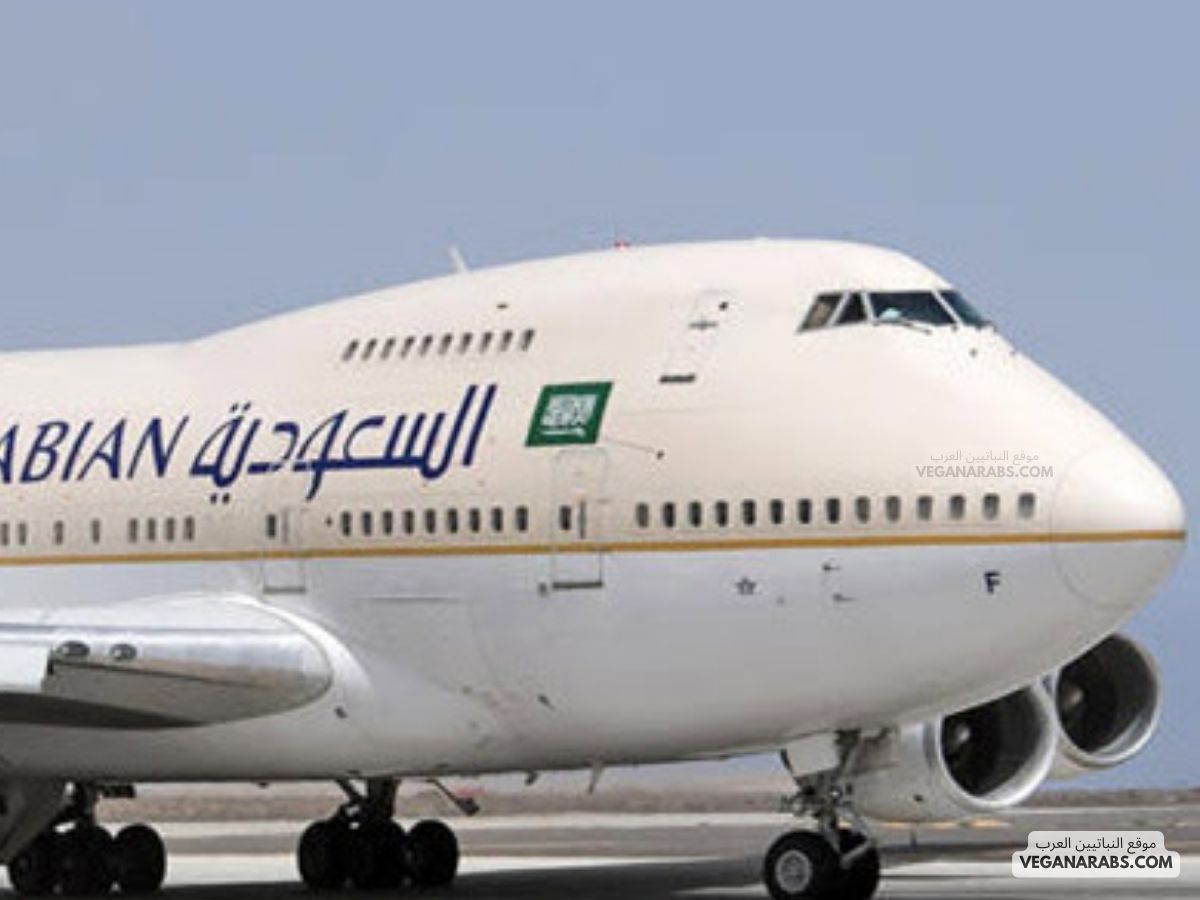 السعودية ترحل نحو 12,000 مقيم غير قانوني وسط حملة أمنية مستمرة