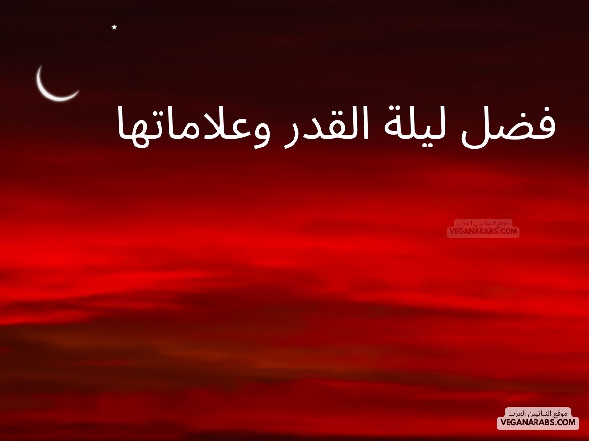 فضل ليلة القدر وعلاماتها