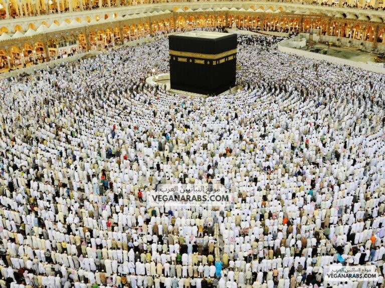 فضل صلاة التراويح في رمضان