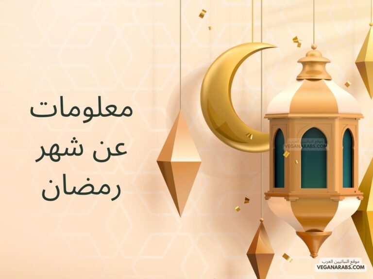 معلومات عن شهر رمضان