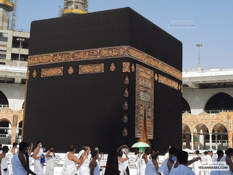 ما هو فضل العمرة في رمضان