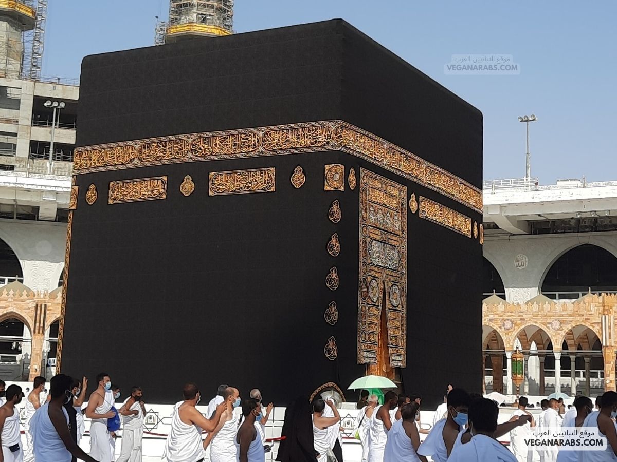 ما هو فضل العمرة في رمضان