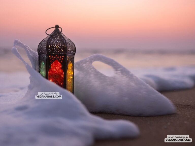 أفضل الصيام بعد رمضان