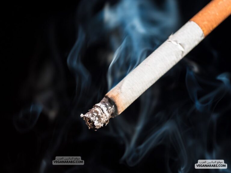 نصائح للمدخنين في شهر رمضان