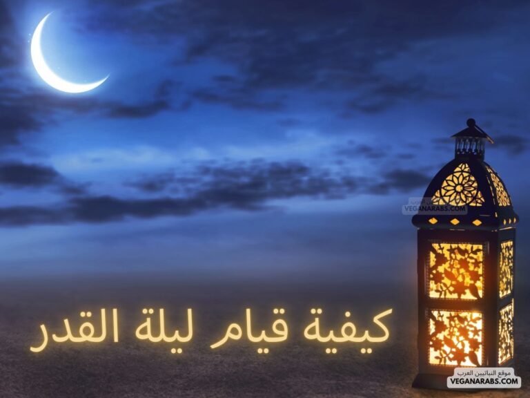 كيفية قيام ليلة القدر