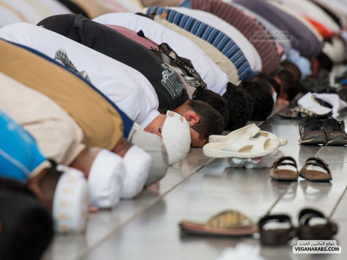 كم عدد ركعات صلاة القيام في رمضان