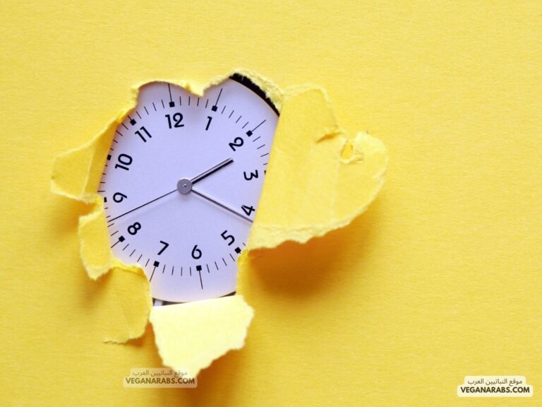 كيف ننظم الوقت فى رمضان