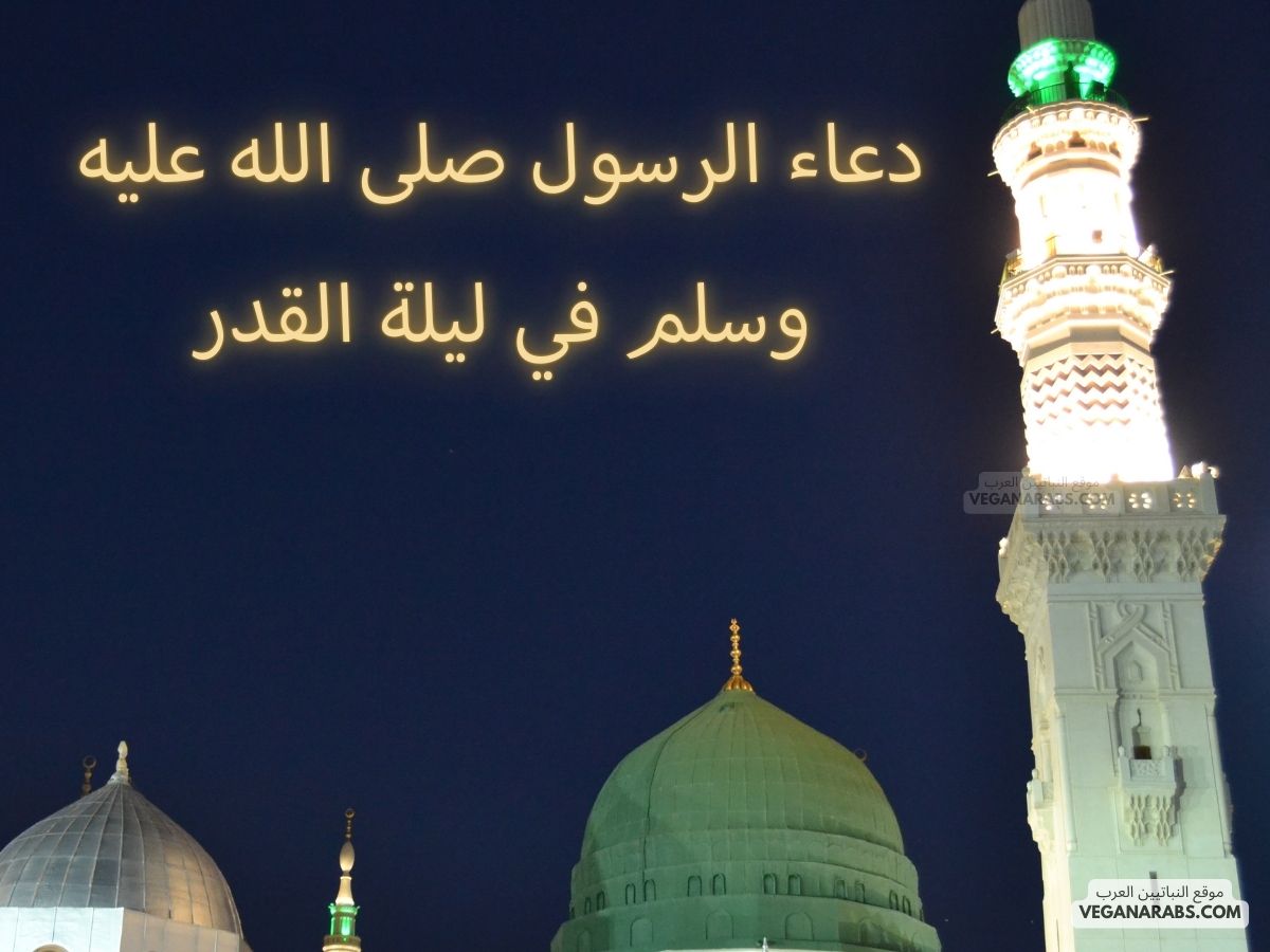 دعاء الرسول صلى الله عليه وسلم في ليلة القدر