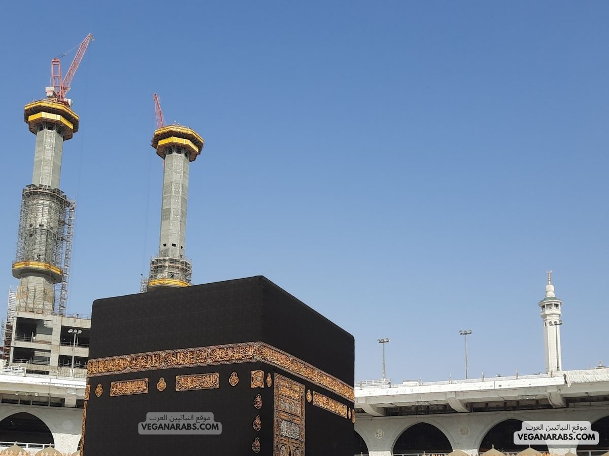 Saudi Arabia Opens Doors for Foreign Investments in Mecca and Medina Real Estate Firms