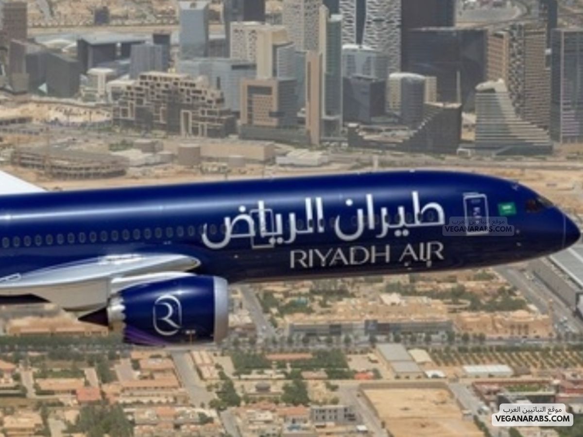 طيران الرياض يؤجل إطلاقه إلى الربع الثالث من عام 2025