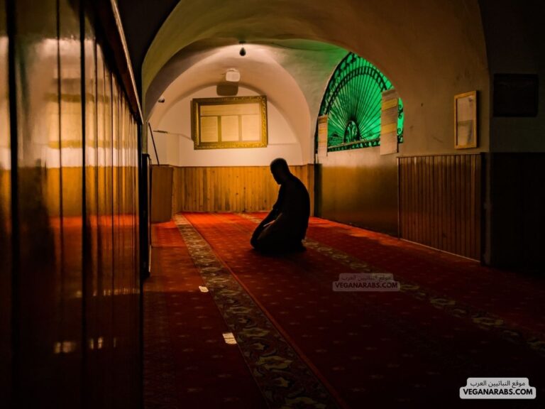 دعاء صلاة التراويح