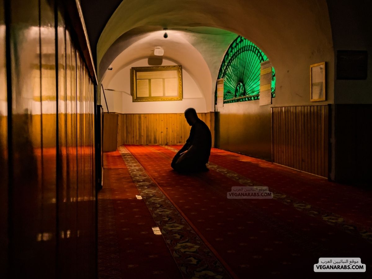 دعاء صلاة التراويح