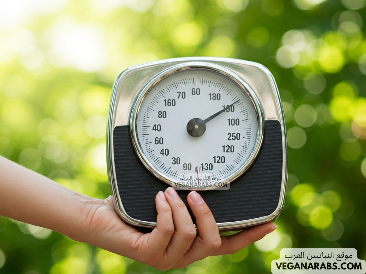 برنامج لزيادة الوزن في رمضان مع وصفات طبخ كامله