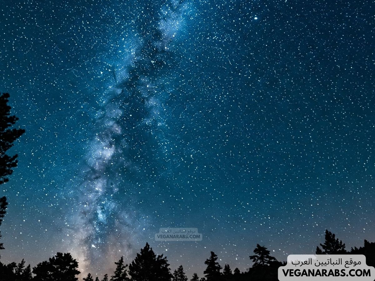 كيفية الدعاء بليلة القدر